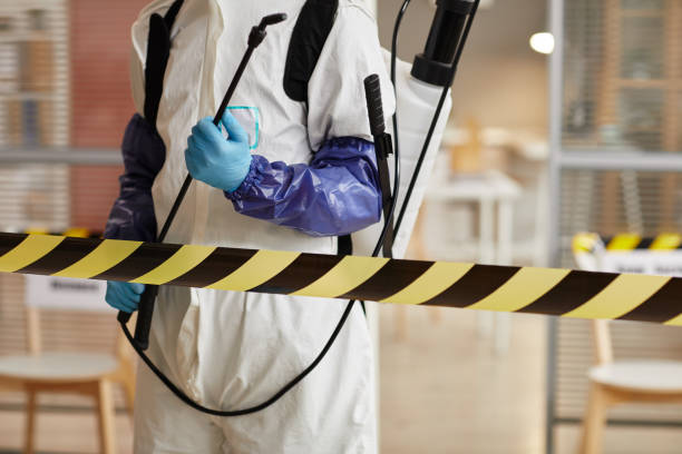 Professional Hoarding Cleanup technician working in Woodmere, NY